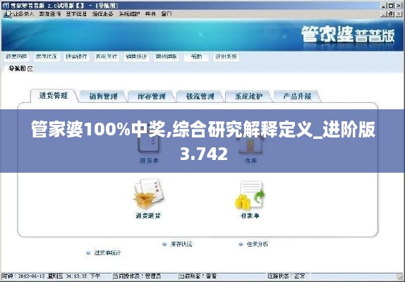 管家婆100%中奖,综合研究解释定义_进阶版3.742