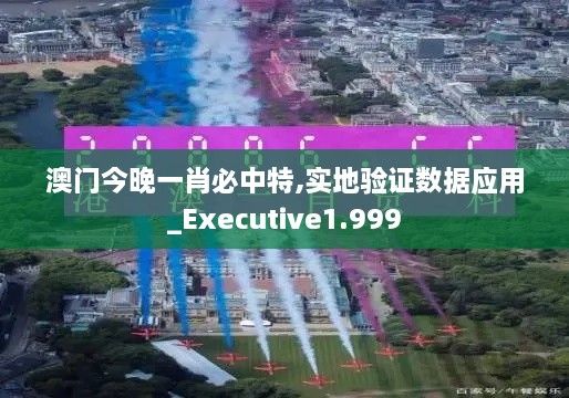 澳门今晚一肖必中特,实地验证数据应用_Executive1.999