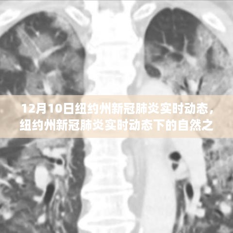 纽约州新冠疫情实时动态下的自然之旅，寻找心灵宁静与平和