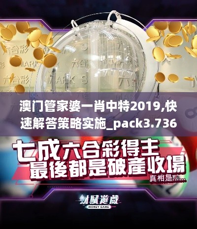 澳门管家婆一肖中特2019,快速解答策略实施_pack3.736