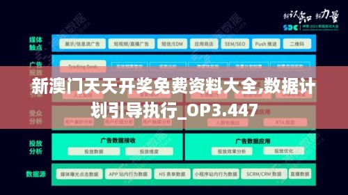 新澳门天天开奖免费资料大全,数据计划引导执行_OP3.447