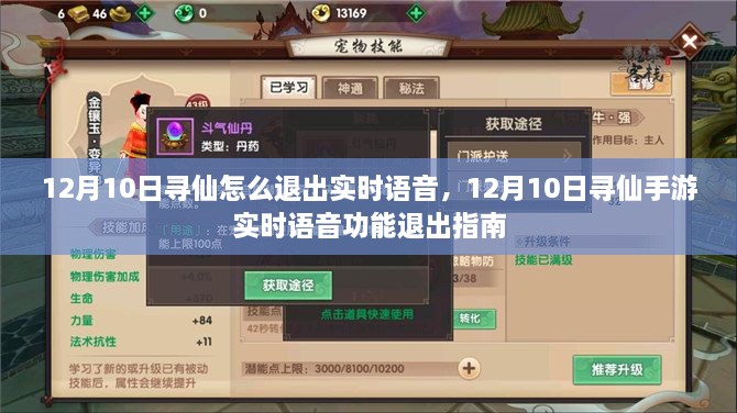 12月10日寻仙手游实时语音功能退出指南详解