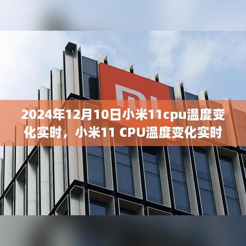 小米11 CPU温度变化实时分析，聚焦2024年12月10日的观察与探讨