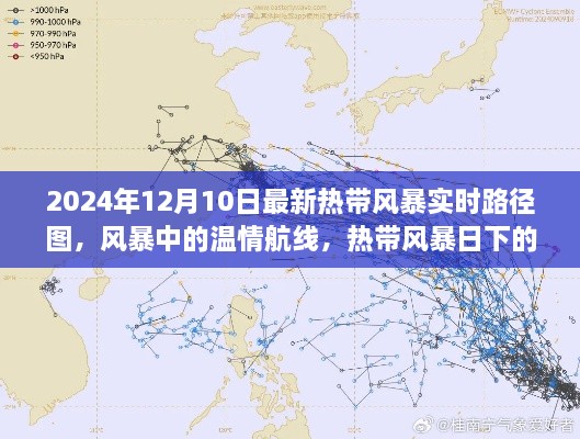 2024年热带风暴实时路径图，风暴中的温情旅程与特殊旅程揭秘