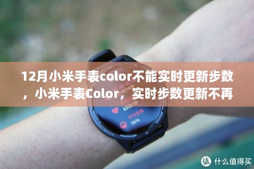 小米手表Color突破实时步数更新障碍，科技引领生活新纪元