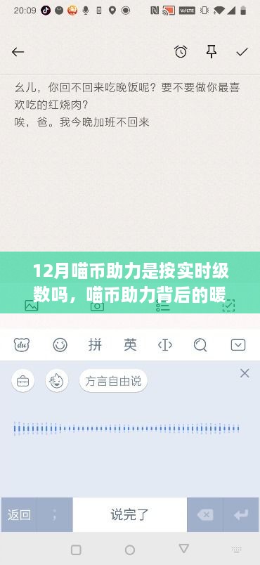 喵币助力背后的暖心故事，实时级数的魔法与友情纽带揭秘