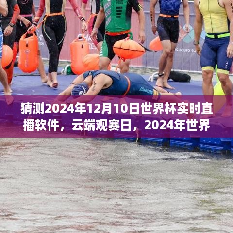 云端观赛日，世界杯与直播软件的奇妙之旅 2024年世界杯预测直播体验