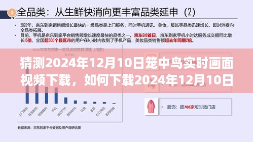 详细步骤指南，如何下载2024年笼中鸟实时画面视频下载指南及步骤解析