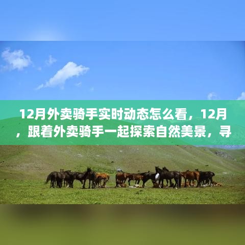 跟着外卖骑手探索自然美景，12月实时动态与心灵之旅