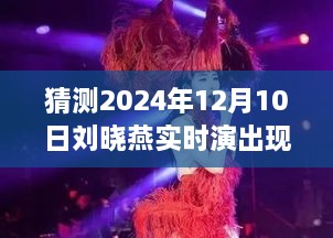 刘晓燕演唱会盛宴，深度体验与全面解析——预测2024年刘晓燕现场演出纪实