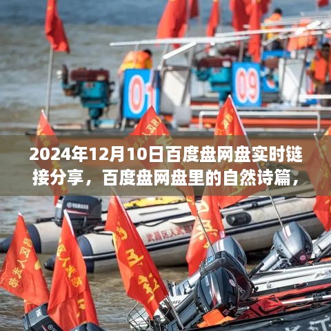 百度盘网盘心灵诗篇分享，一场实时链接的心灵之旅启程（2024年12月10日）