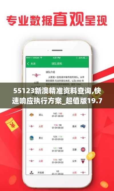 55123新澳精准资料查询,快速响应执行方案_超值版19.705