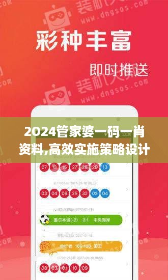 2O24管家婆一码一肖资料,高效实施策略设计_9DM1.998