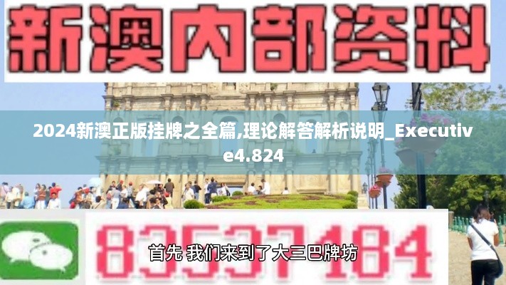 2024新澳正版挂牌之全篇,理论解答解析说明_Executive4.824