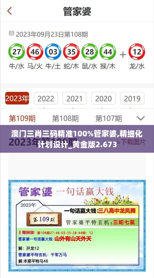 澳门三肖三码精准100%管家婆,精细化计划设计_黄金版2.673