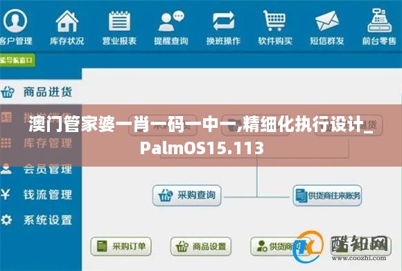 澳门管家婆一肖一码一中一,精细化执行设计_PalmOS15.113