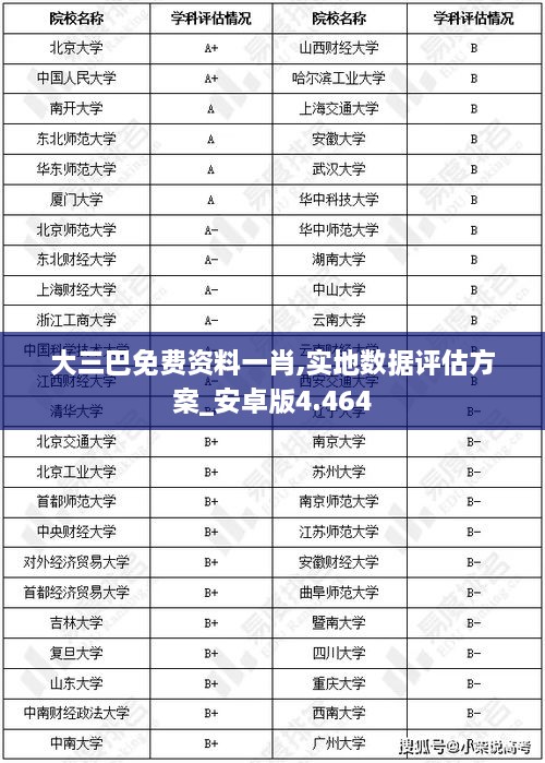 大三巴免费资料一肖,实地数据评估方案_安卓版4.464