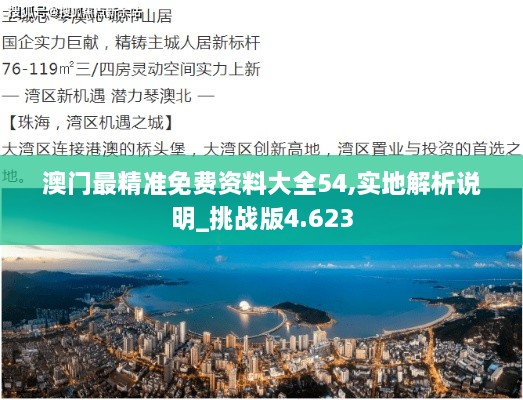 澳门最精准免费资料大全54,实地解析说明_挑战版4.623