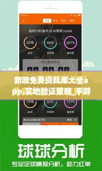 新澳免费资料库大全app,实地验证策略_手游版9.438