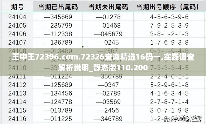 王中王72396.cσm.72326查询精选16码一,实践调查解析说明_静态版110.200