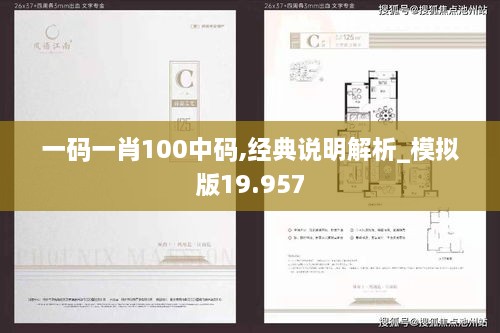 一码一肖100中码,经典说明解析_模拟版19.957