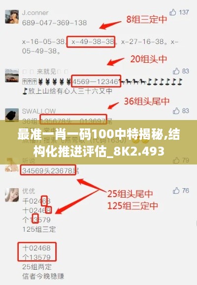 最准一肖一码100中特揭秘,结构化推进评估_8K2.493