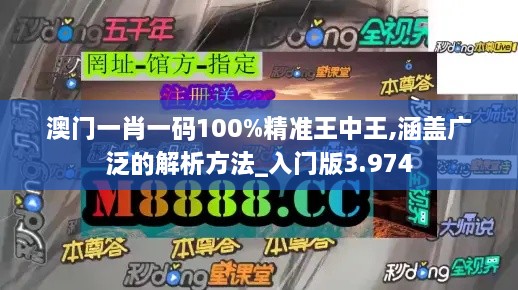 澳门一肖一码100%精准王中王,涵盖广泛的解析方法_入门版3.974