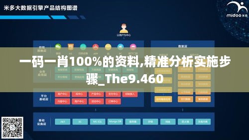 一码一肖100%的资料,精准分析实施步骤_The9.460