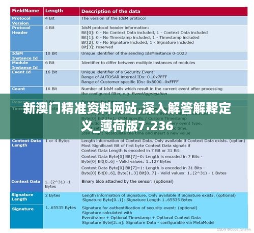 新澳门精准资料网站,深入解答解释定义_薄荷版7.236