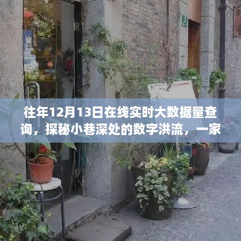 探秘小巷特色小店的大数据之旅，在线实时大数据量查询揭秘数字洪流背后的故事——12月13日深度观察