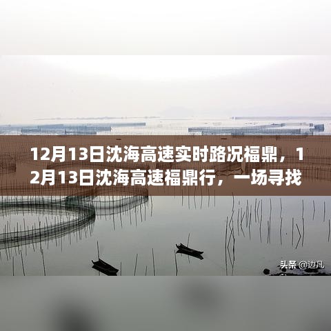 12月13日沈海高速福鼎路况实时更新，心灵与自然之旅的亲密接触