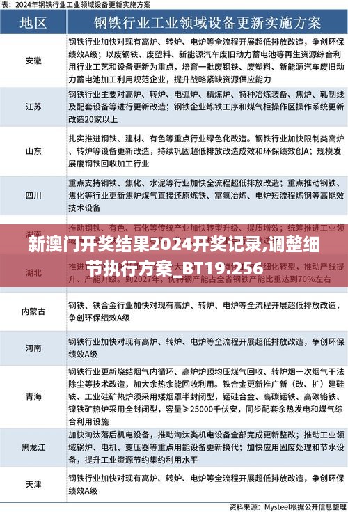 新澳门开奖结果2024开奖记录,调整细节执行方案_BT19.256