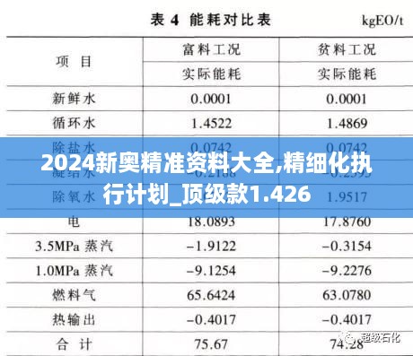 2024新奥精准资料大全,精细化执行计划_顶级款1.426