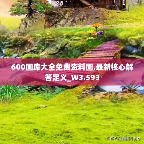 600图库大全免费资料图,最新核心解答定义_W3.593