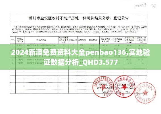 2024新澳免费资料大全penbao136,实地验证数据分析_QHD3.577