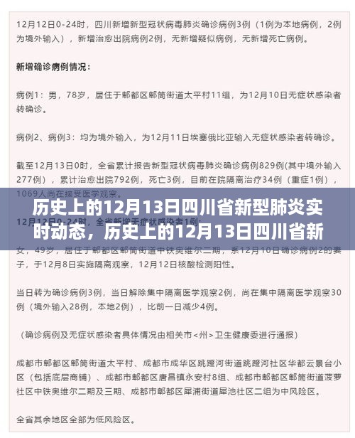 历史上的12月13日四川省新型肺炎实时动态及其深远影响