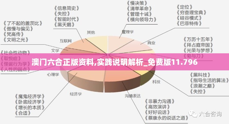 澳门六合正版资料,实践说明解析_免费版11.796