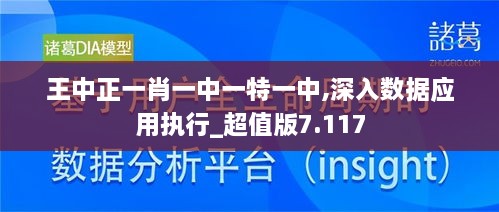 王中正一肖一中一特一中,深入数据应用执行_超值版7.117