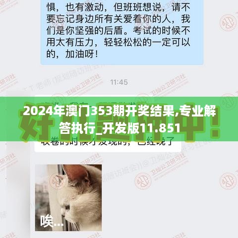 2024年澳门353期开奖结果,专业解答执行_开发版11.851