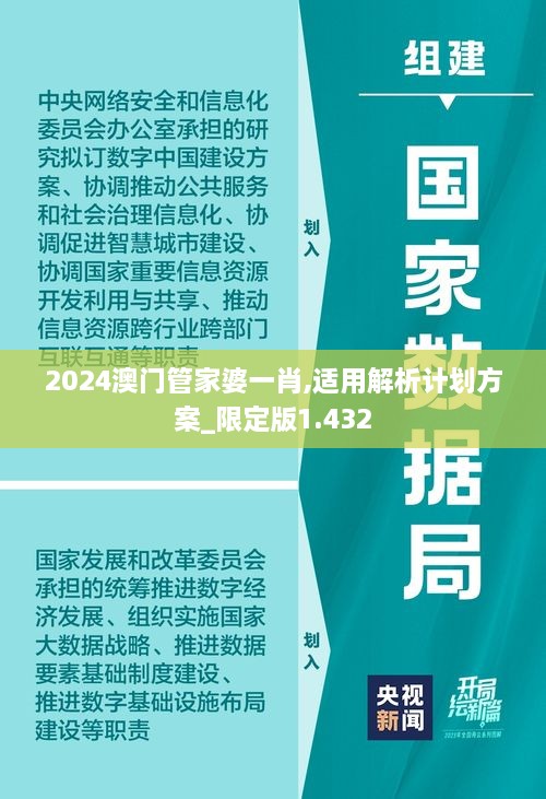 2024澳门管家婆一肖,适用解析计划方案_限定版1.432