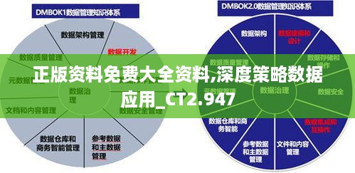 正版资料免费大全资料,深度策略数据应用_CT2.947