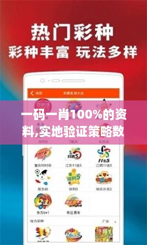 一码一肖100%的资料,实地验证策略数据_完整版3.163