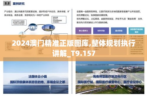 2024澳门精准正版图库,整体规划执行讲解_T9.157