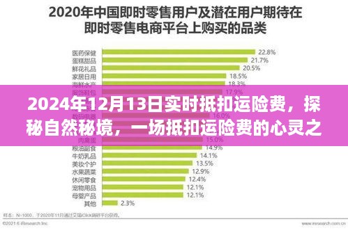 探秘自然秘境，实时抵扣运险费的心灵之旅（2024年12月13日）