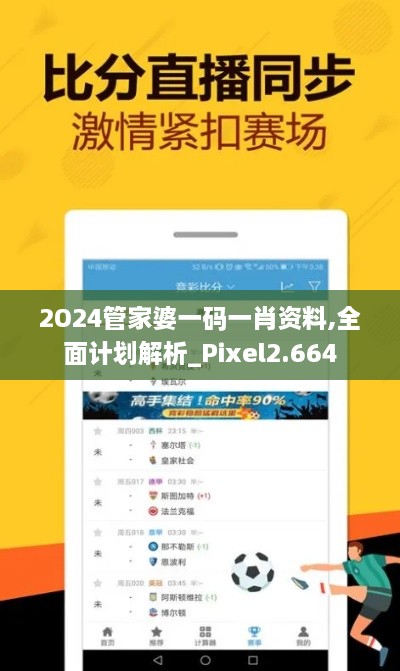 2O24管家婆一码一肖资料,全面计划解析_Pixel2.664