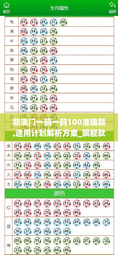 新澳门一码一码100准确新,适用计划解析方案_旗舰款2.346