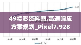 49特彩资料图,高速响应方案规划_Pixel7.928