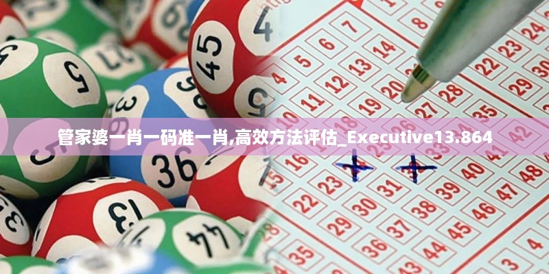 管家婆一肖一码准一肖,高效方法评估_Executive13.864