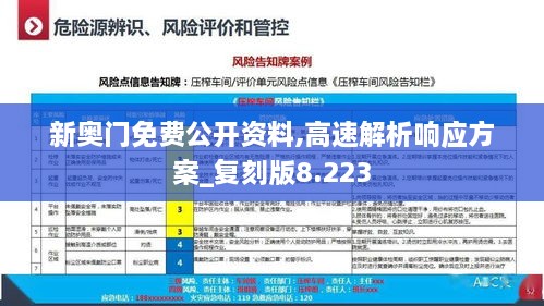 新奥门免费公开资料,高速解析响应方案_复刻版8.223