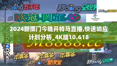 2024新澳门今晚开特马直播,快速响应计划分析_4K版10.618